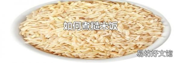 如何煮糙米饭