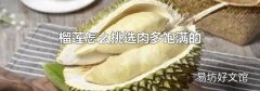 榴莲怎么挑选肉多饱满的