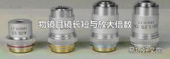 物镜目镜长短与放大倍数