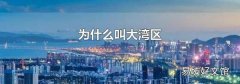 为什么叫大湾区