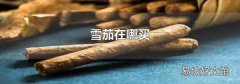 雪茄在哪买