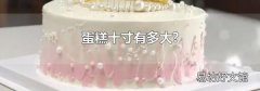 蛋糕十寸有多大?