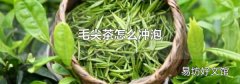 毛尖茶怎么冲泡