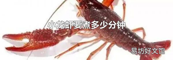 小龙虾要煮多少分钟