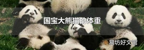 国宝大熊猫的体重
