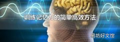 训练记忆力的简单高效方法