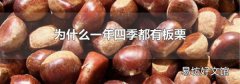 为什么一年四季都有板栗