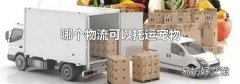 哪个物流可以托运宠物