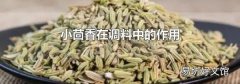 小茴香在调料中的作用