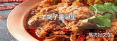 羊蝎子是哪里
