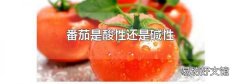 番茄是酸性还是碱性