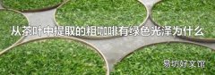 从茶叶中提取的粗咖啡有绿色光泽为什么