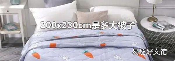 200x230cm是多大被子