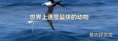 世界上速度最快的动物