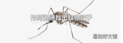 如何迅速找出蚊帳蚊子
