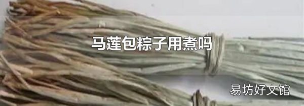 馬蓮包粽子用煮嗎