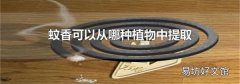 蚊香可以从哪种植物中提取