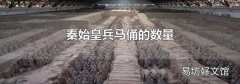 秦始皇兵马俑的数量