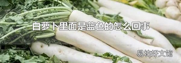 白萝卜里面是蓝色的怎么回事