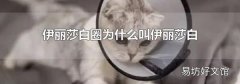 伊丽莎白圈为什么叫伊丽莎白