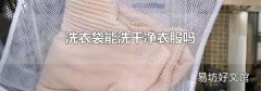 洗衣袋能洗干净衣服吗