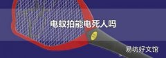 电蚊拍能电死人吗