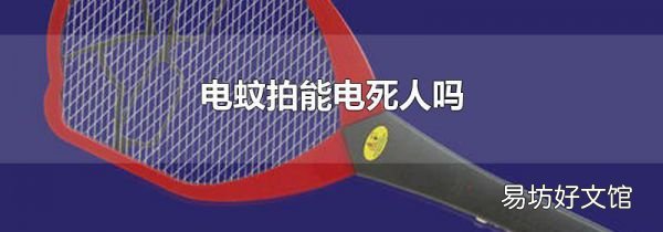 电蚊拍能电死人吗