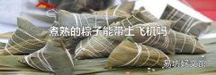 煮熟的粽子能带上飞机吗