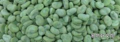 蚕豆可以冷冻保存吗