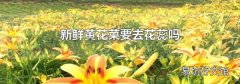 新鮮黃花菜要去花蕊嗎
