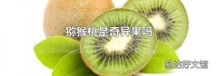 猕猴桃是奇异果吗
