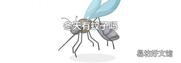 冬天有蚊子吗