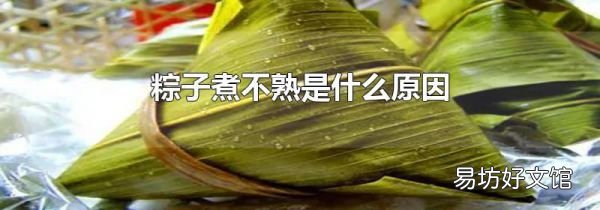 粽子煮不熟是什么原因