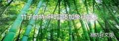竹子的特点和品质加象征的人