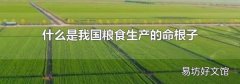 什么是我国粮食生产的命根子