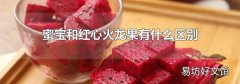 蜜宝和红心火龙果有什么区别