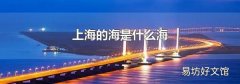 上海的海是什么海