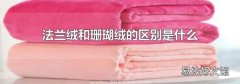 法兰绒和珊瑚绒的区别是什么