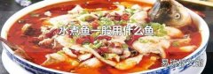 水煮鱼一般用什么鱼