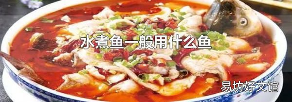 水煮鱼一般用什么鱼