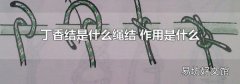 丁香结是什么绳结 作用是什么