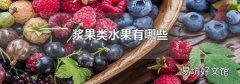 浆果类水果有哪些