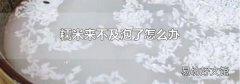 糯米来不及泡了怎么办