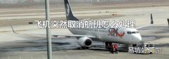 飞机突然取消航班怎么处理