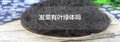 发菜有叶绿体吗