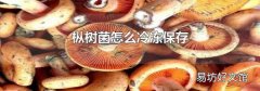 枞树菌怎么冷冻保存