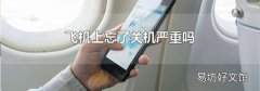 飞机上忘了关机严重吗