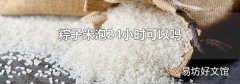 粽子米泡24小时可以吗
