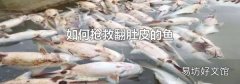 如何搶救翻肚皮的魚(yú)