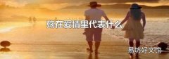 殇在爱情里代表什么